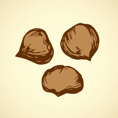 Kestane. Vektör çizim