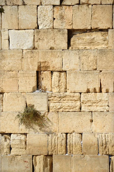 Westelijke Muur in Jeruzalem. Israël — Stockfoto