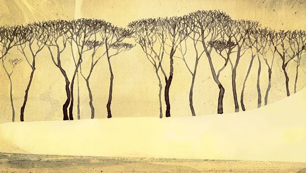 Vinterlandskap i Monochrome. Bare trær ved stille innsjø – stockfoto