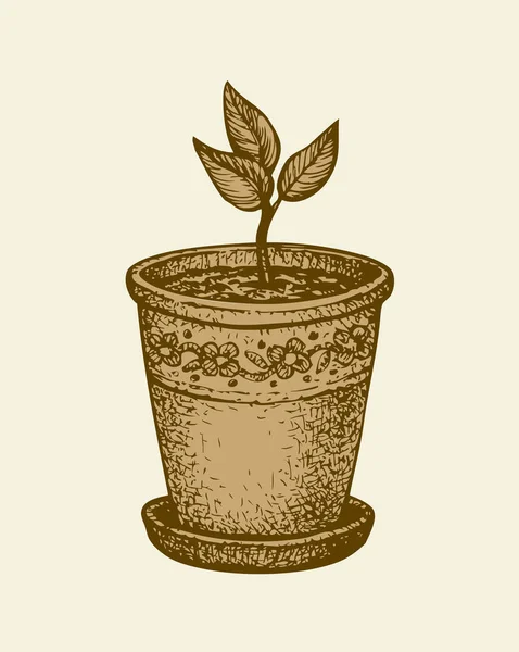 Vector monochrome drawing. Sprout in a pot — Stock Vector