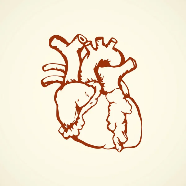 Corazón. Dibujo vectorial — Archivo Imágenes Vectoriales
