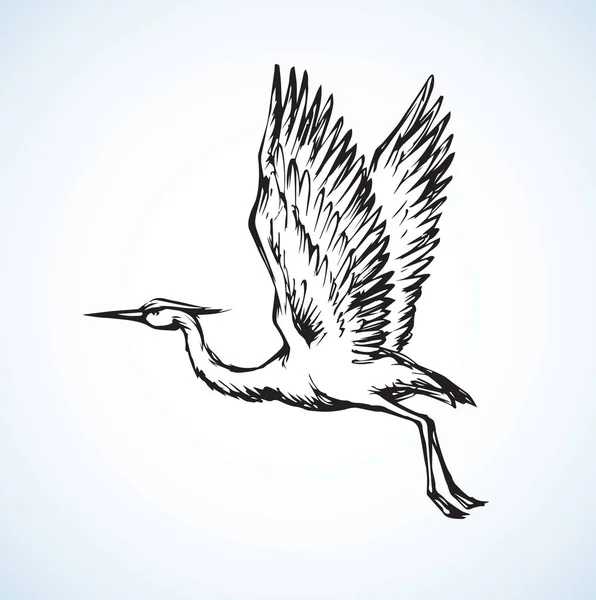 Cigogne. Dessin vectoriel — Image vectorielle