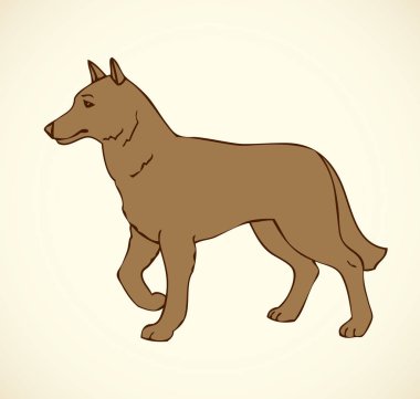 Vector outline drawing. Purebred dogs and mongrels clipart