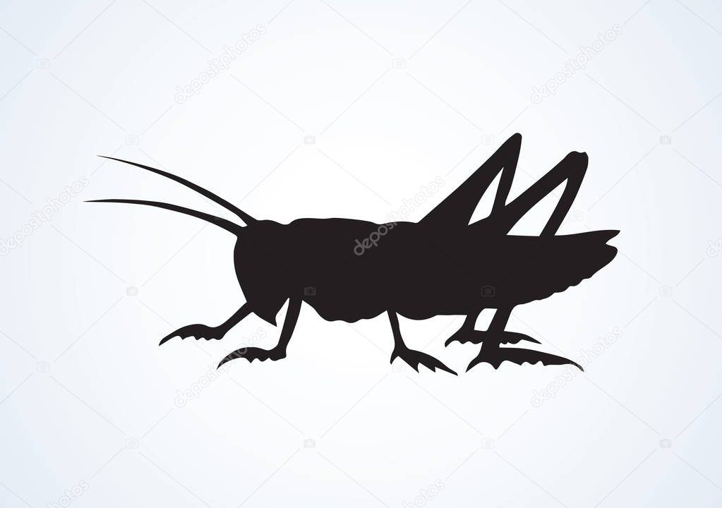 Grasshopper. Vector drawing