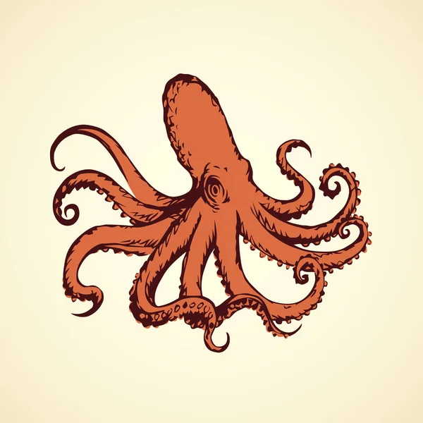 Pulpo. Dibujo vectorial — Vector de stock