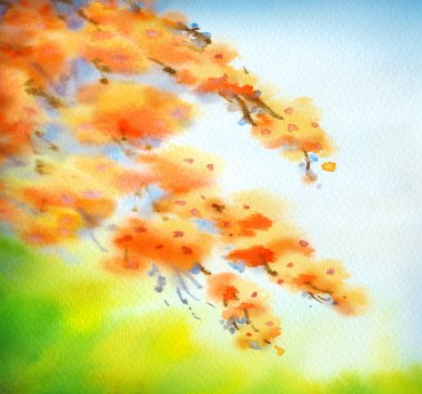 Suluboya arka planda Japon tarzı. Çiçek dalları 