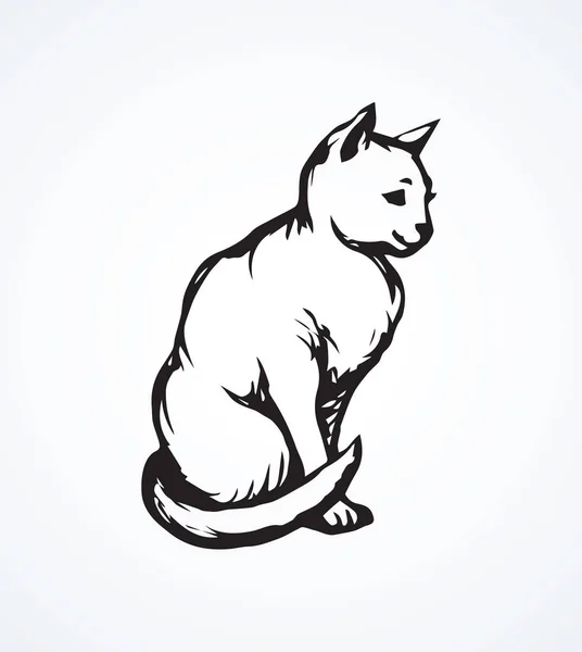 Gato. Desenho vetorial —  Vetores de Stock