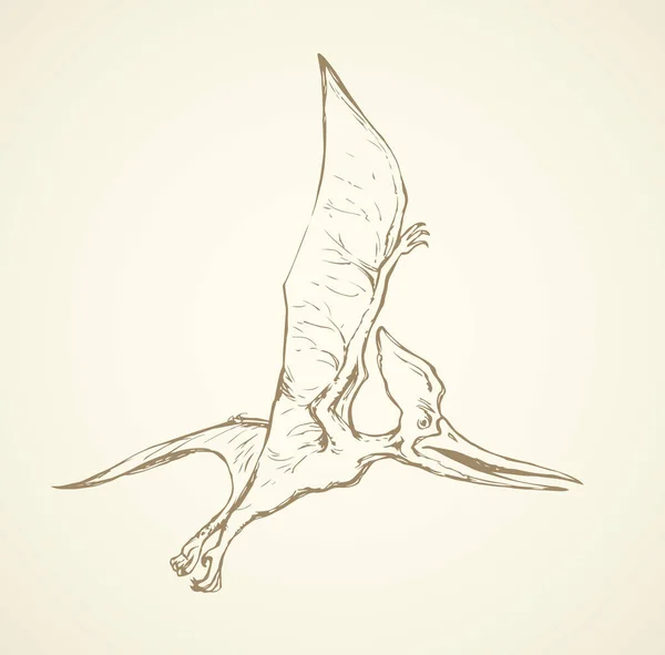 Ptérodactyle. Dessin vectoriel — Image vectorielle