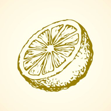 Limon. Vektör çizim