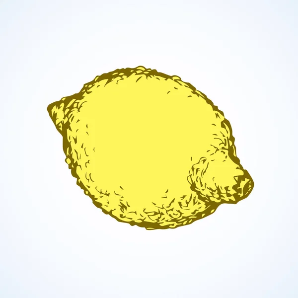 Citron. Vektorritning — Stock vektor