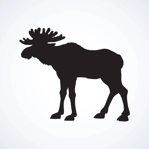 Elk. Vektoros rajz — Stock Vector