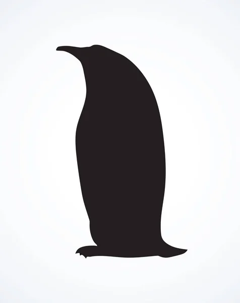 Pinguim. Desenho vetorial — Vetor de Stock