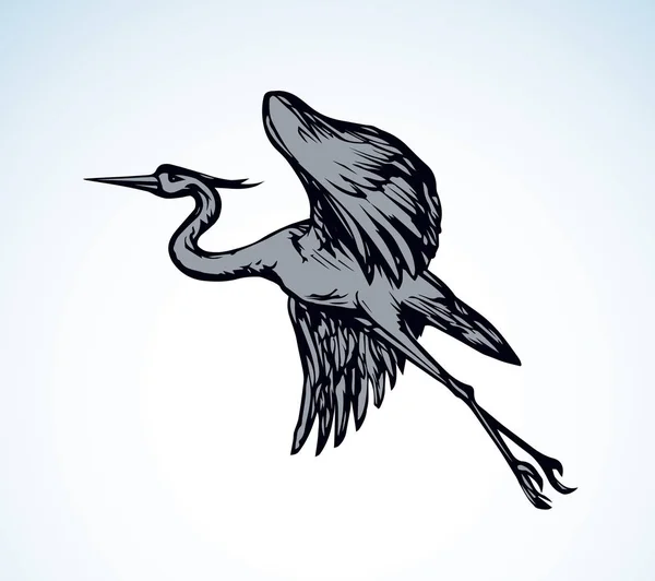 Stork. Vector drawing — Stock Vector