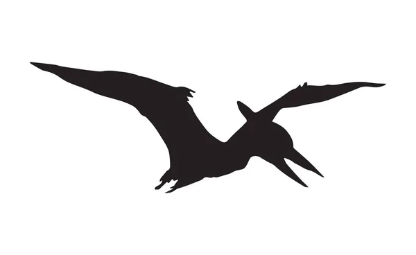 Pterodáctilo. Dibujo vectorial — Vector de stock