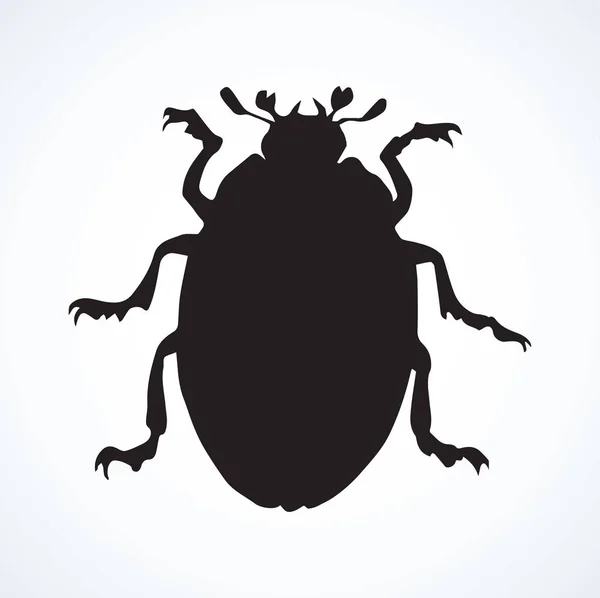 Beetle. Vector drawing — Stock Vector