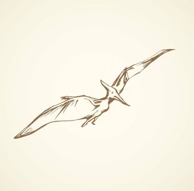 Pterodactyl. Vektör çizim