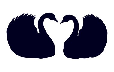 Zarif kuğu çifti. Vektör çizim