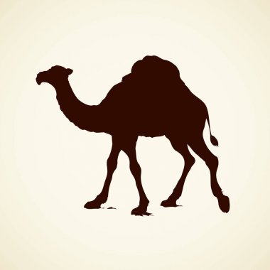 Gergedan. Vektör çizim