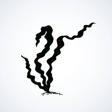 Deniz yosunu. Vektör çizim