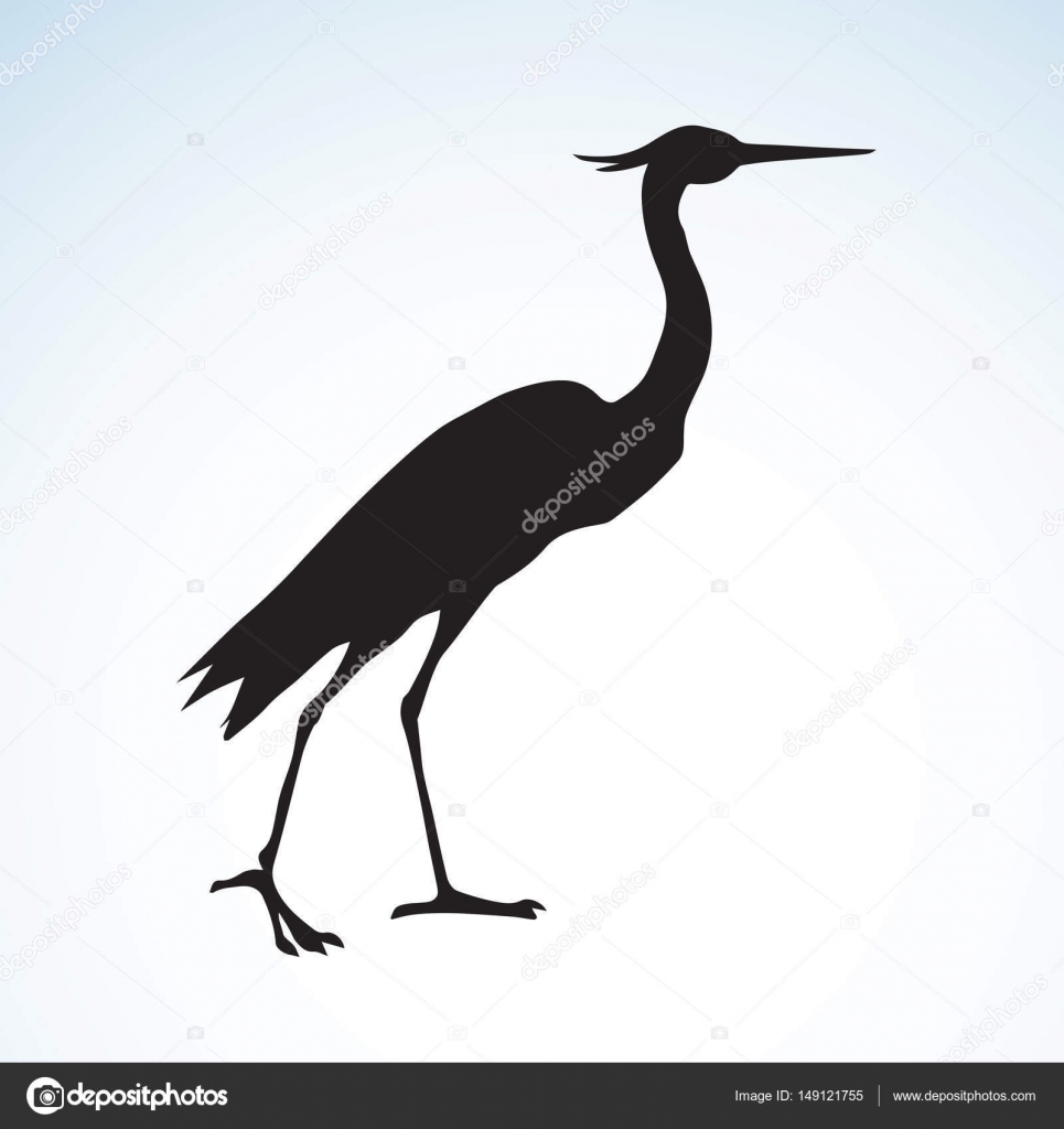 Bocian Rysunek Wektor Grafika Wektorowa Marinka 149121755
