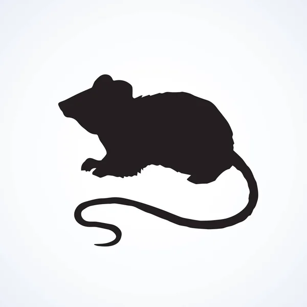 Mouse. Vector drawing — Stock Vector