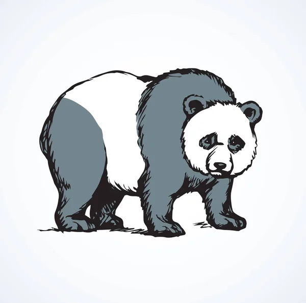 Panda. Dibujo vectorial — Archivo Imágenes Vectoriales