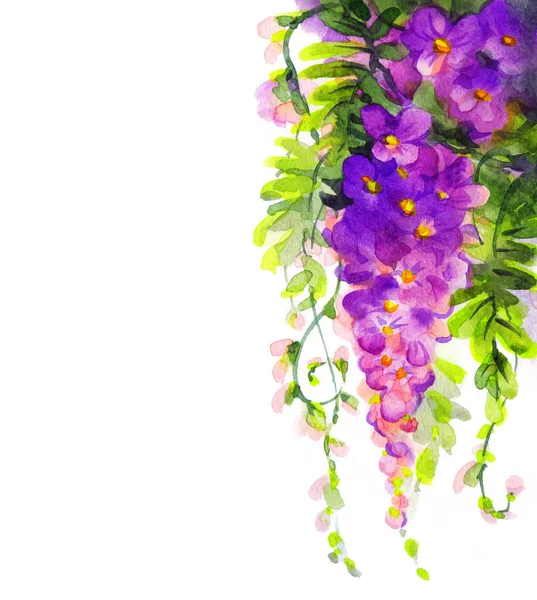 水彩画。紫の藤 — ストック写真