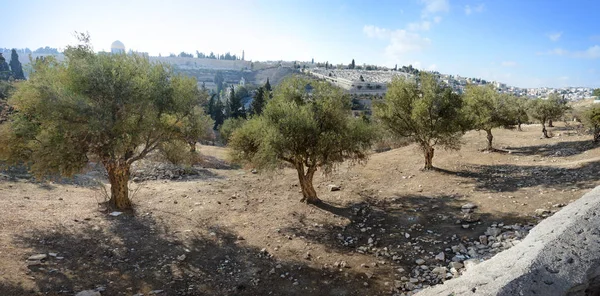 Vista de Jerusalén desde el Monte de los Olivos — Foto de Stock
