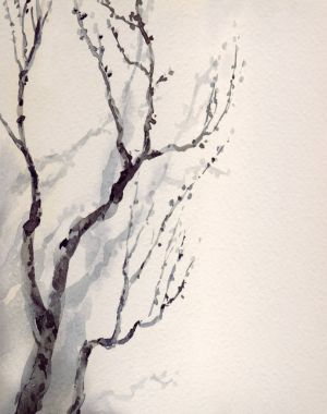 suluboya resim. çıplak yaşlı bir ağaç dalı