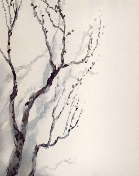 Suluboya resim. çıplak yaşlı bir ağaç dalı — Stok fotoğraf