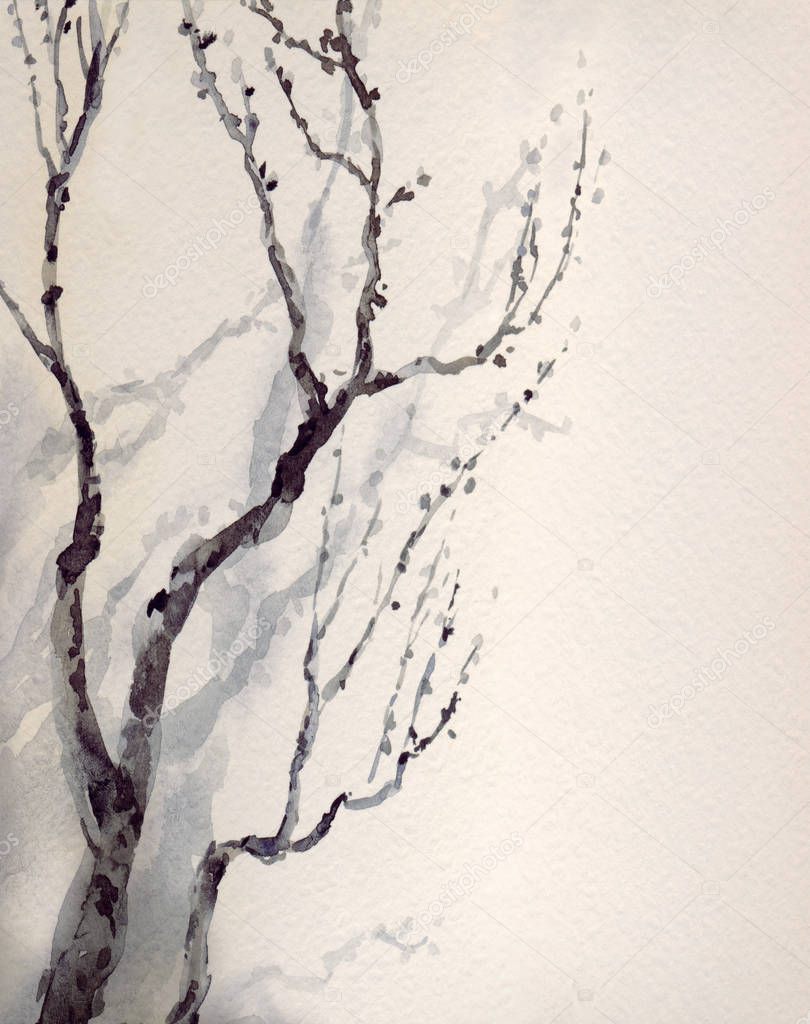 Watercolor painting. Bare branches of an old tree