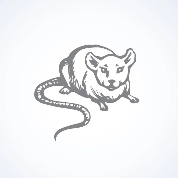 Ratón. Dibujo vectorial — Vector de stock