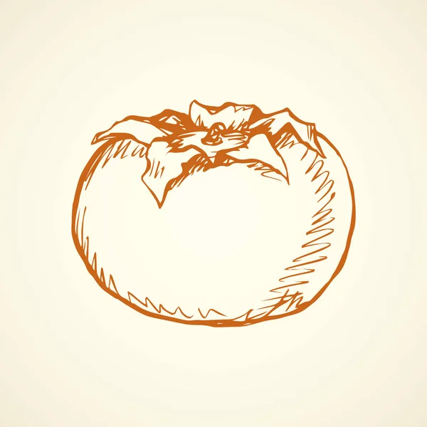 Persimmon. Dessin vectoriel — Image vectorielle