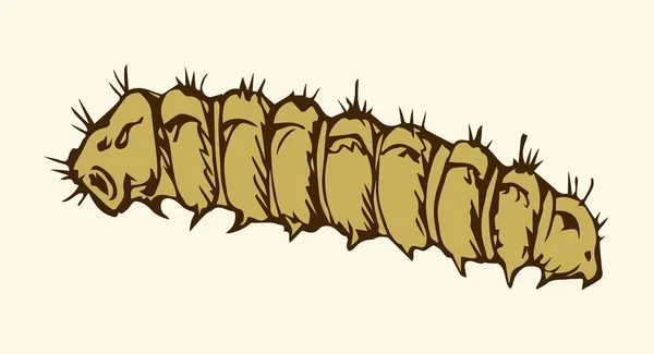 Vectorillustratie. Caterpillar — Stockvector