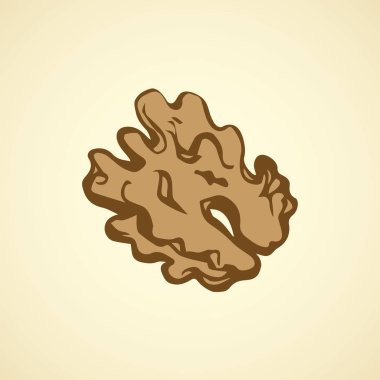 Ceviz. Vektör çizim