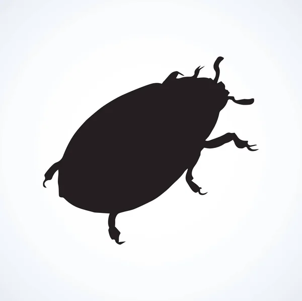 Beetle. Vector drawing — Stock Vector