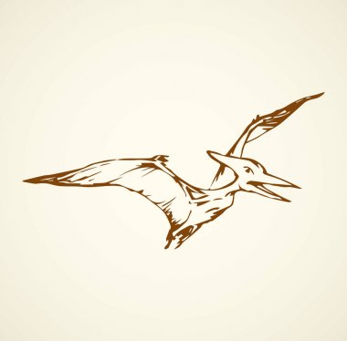 Pterodactyl. Vektör çizim