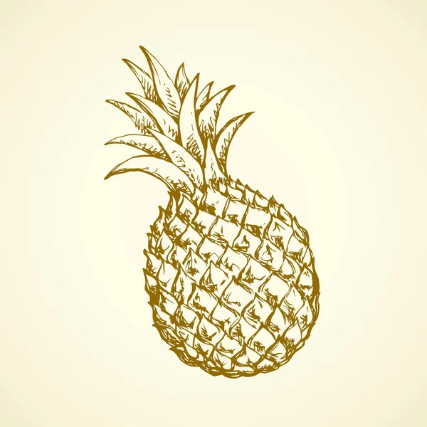 Ananas. Vector tekening — Stockvector