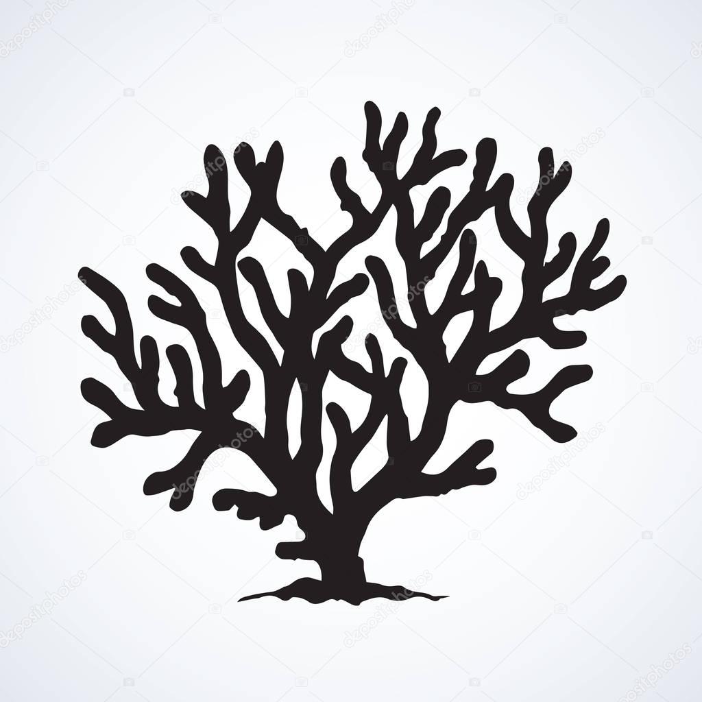Deep old invertebrate Anthozoa Cnidaria polyp bush isolated on white backdrop. Dark ink hand drawn picture emblem in art retro contour print style. View closeup with space for text