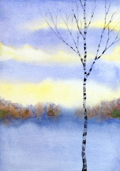 Nyírfa téli mezőben. Akvarell festészet — Stock Fotó