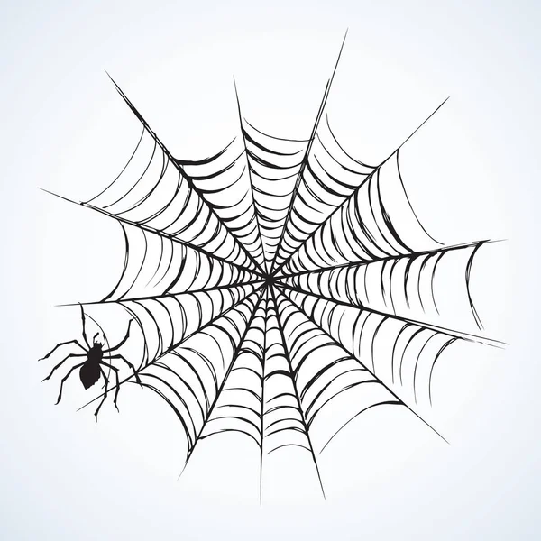 Spider. Vector illustration — Stock Vector