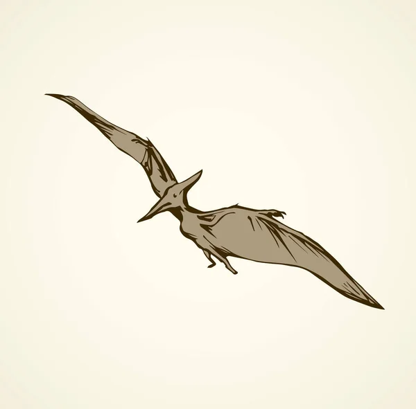 Pterodactyl. Vektorritning — Stock vektor