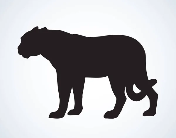 Леопард. Векторная иллюстрация — стоковый вектор