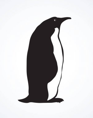 Penguen. Vektör çizim