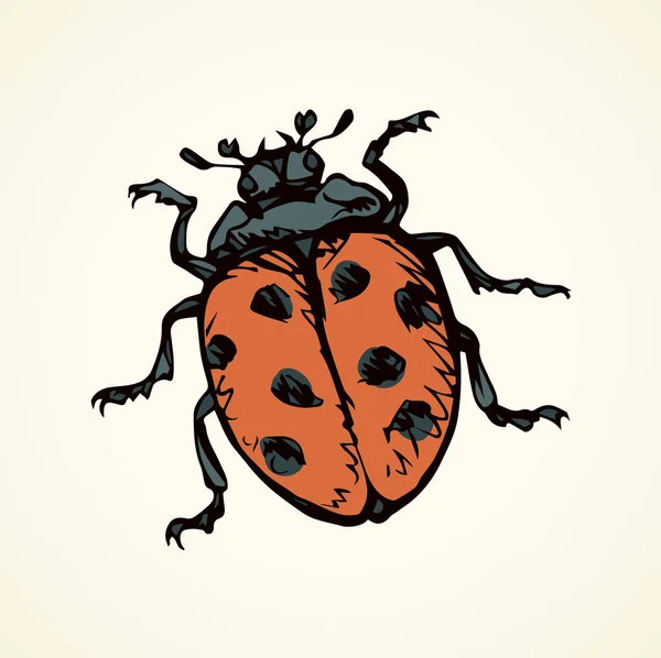 Coccinelle. Dessin vectoriel — Image vectorielle