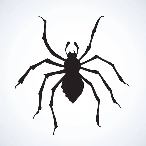 Araña. Ilustración vectorial — Vector de stock