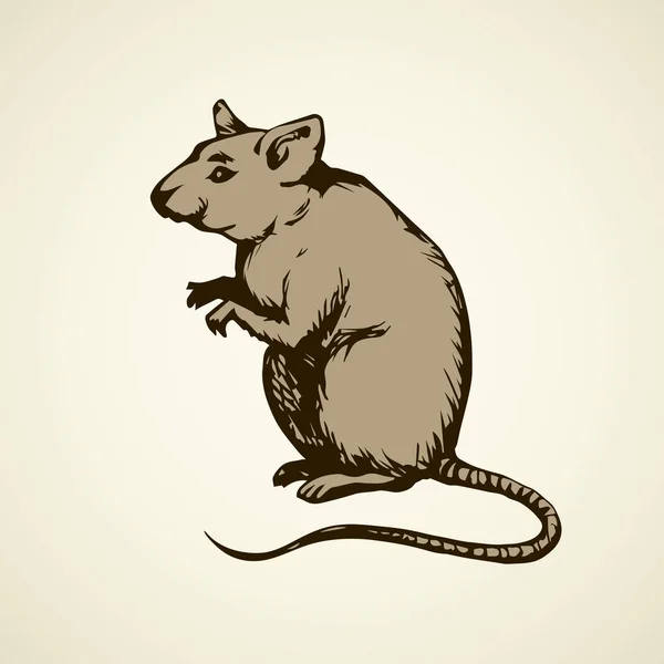 Ratón. Dibujo vectorial — Vector de stock