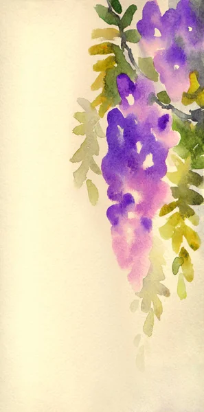 Watercolor background with violet wisteria in blossom — Stock Photo, Image