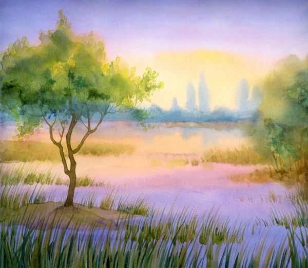 Akvarel krajiny. Strom u jezera — Stock fotografie