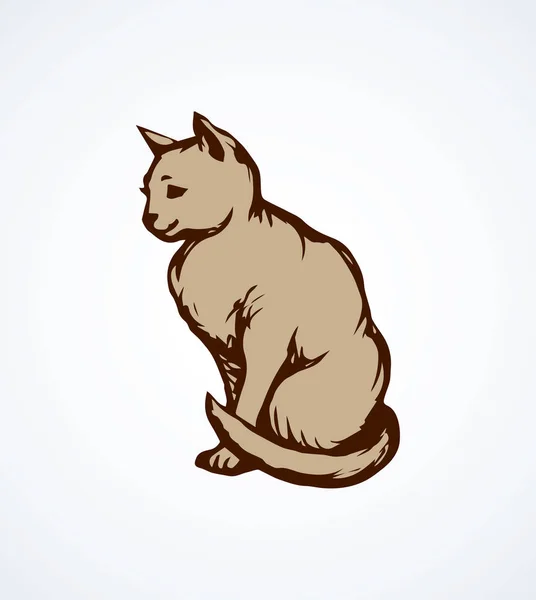 ¡Cat! Dibujo vectorial — Vector de stock